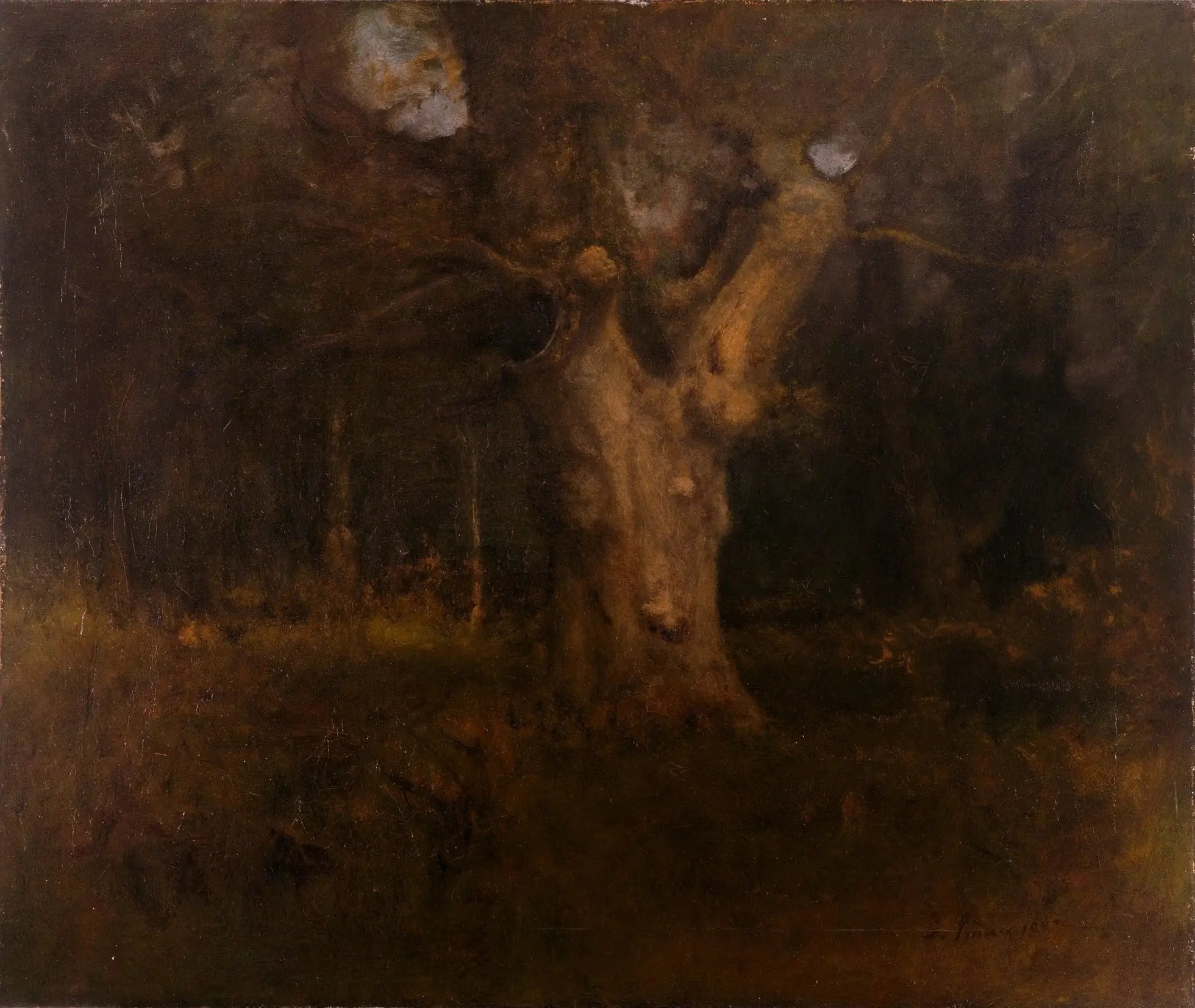 Hêtre royal dans la New Forest, Lyndhurst - George Inness image 1 reproduction artisanale de tableau