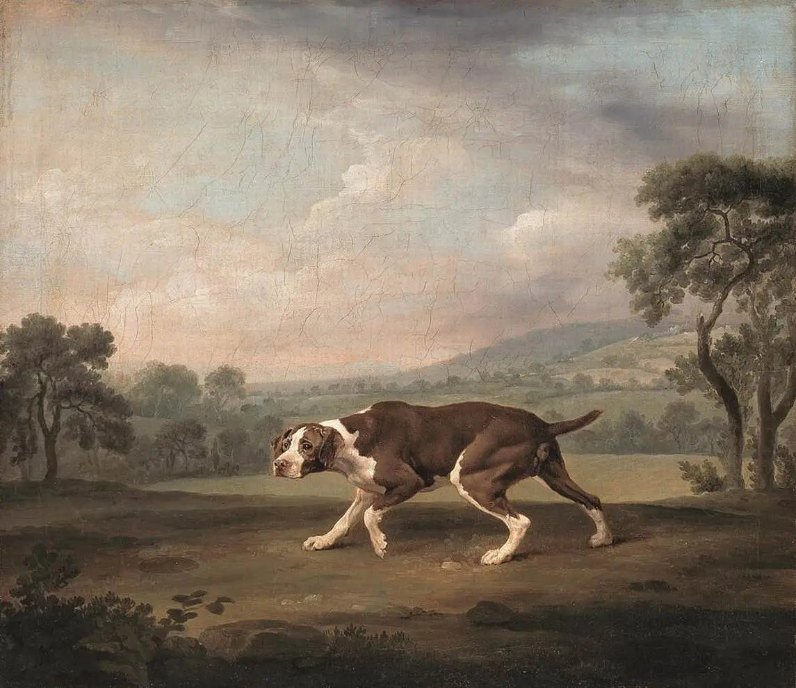 Hühnerhund - George Stubbs image 1 reproduction réalisée par Alpha Reproduction
