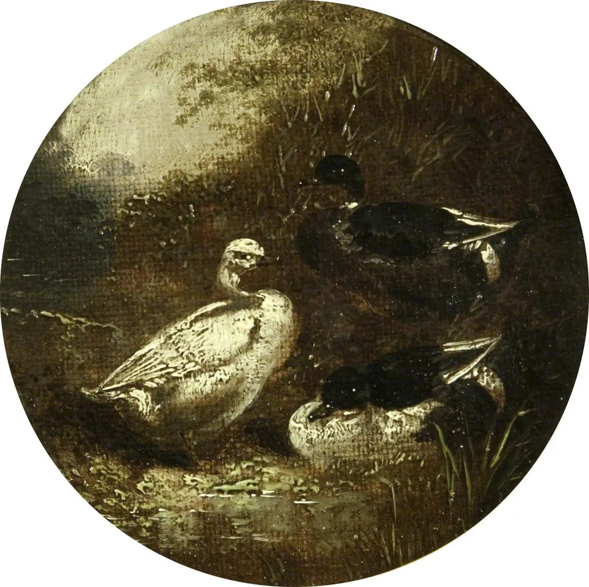 Huit scènes de ferme circulaires : Canards - John Frederick Herring, Sr. image 1 reproduction artisanale de tableau