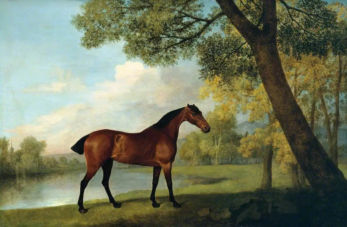 Hunter bai au bord d'un lac - George Stubbs image 1 reproduction artisanale de tableau