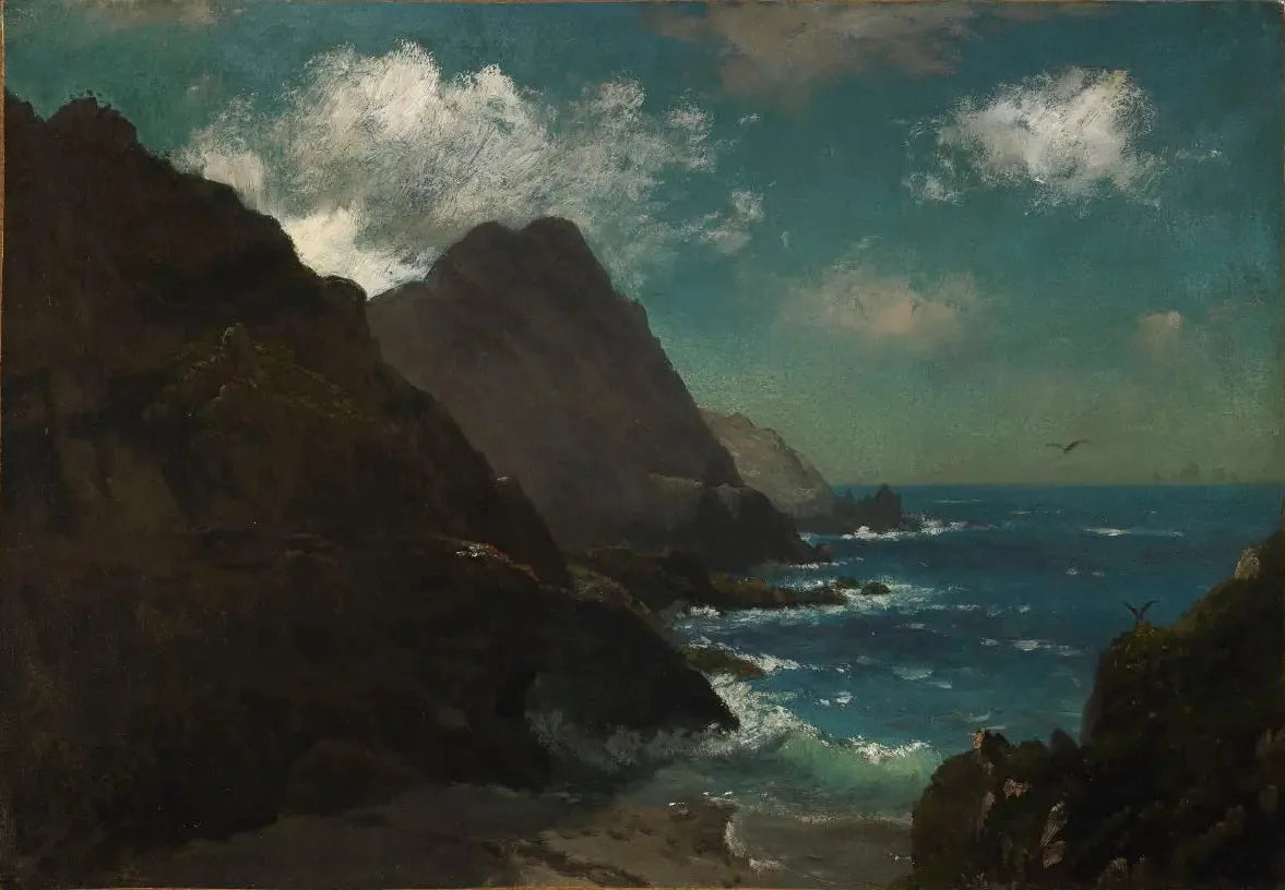 Îles Farallon - Albert Bierstadt image 1 tableau peint à l’huile sur toile