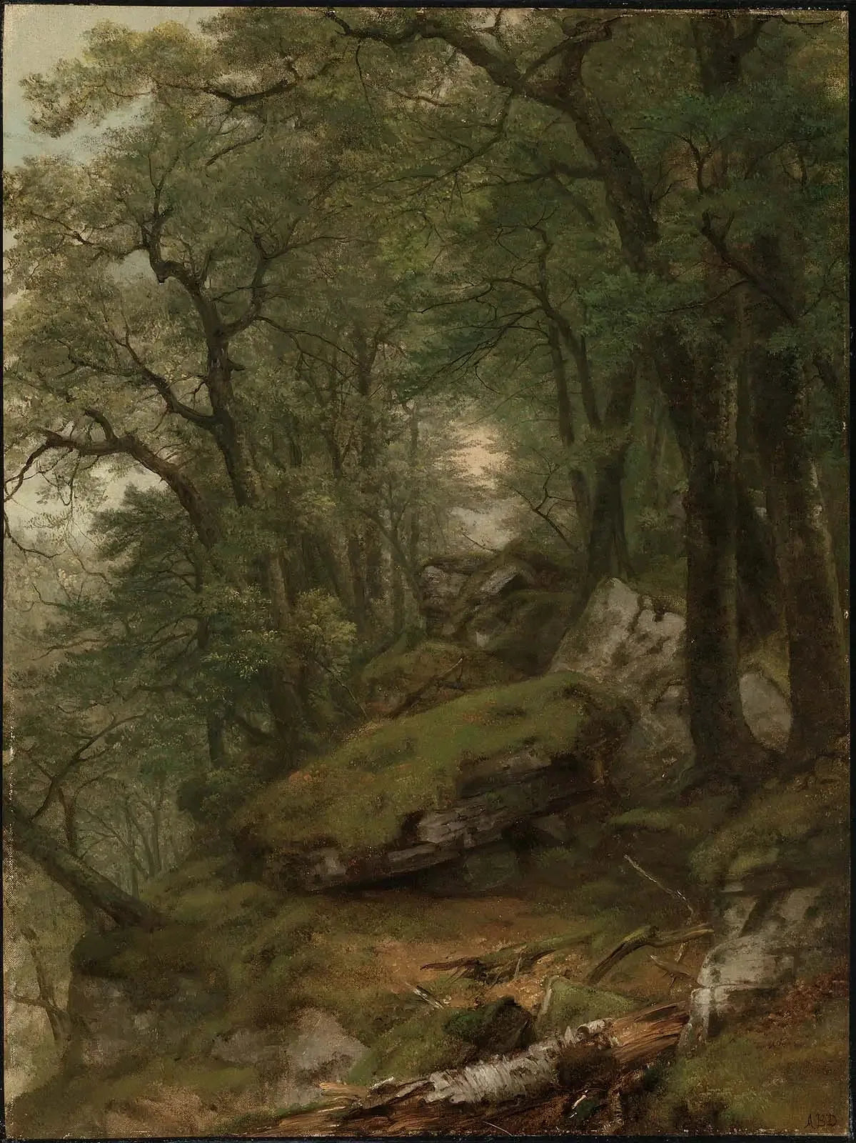Intérieur boisé - Asher Brown Durand image 1 copie peinte à la main à l’huile