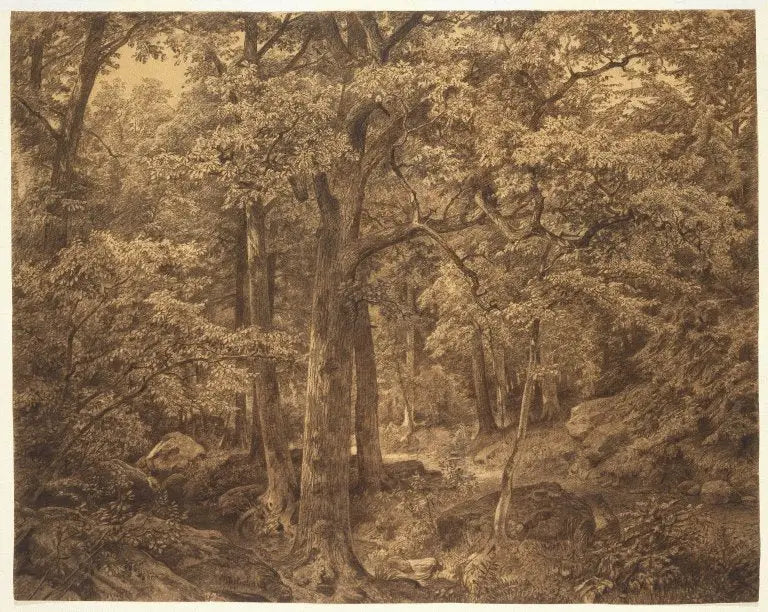 Intérieur de la forêt - William Trost Richards image 1 tableau peint à l’huile sur toile