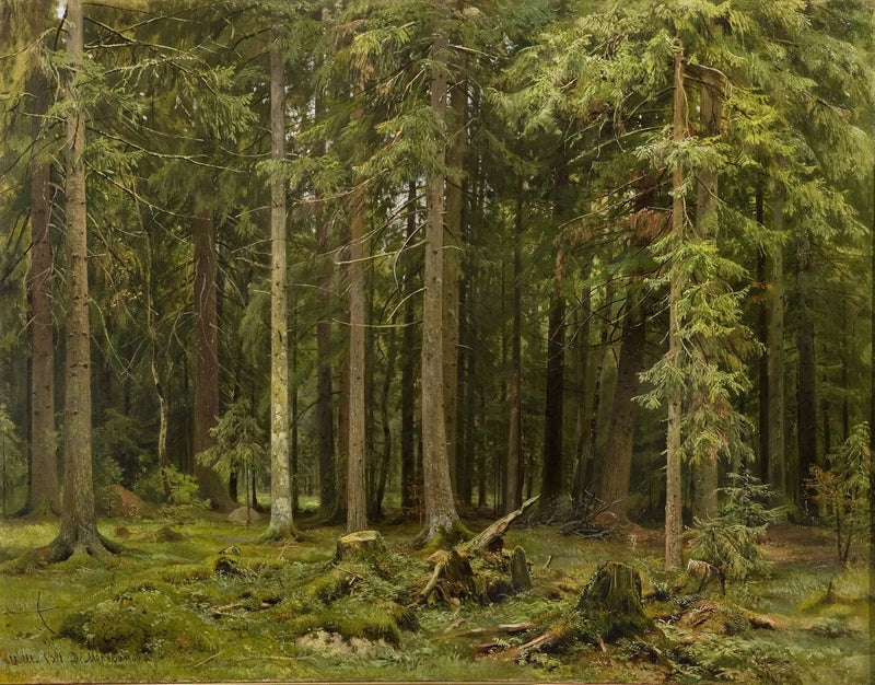 Лес в Мордвинове - Ivan Chichkine