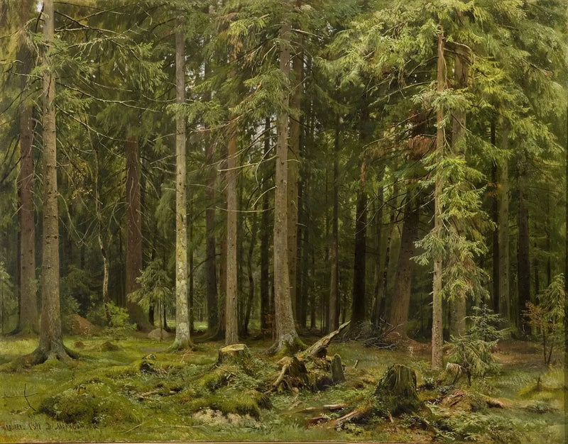 Лес в Мордвинове - Ivan Chichkine