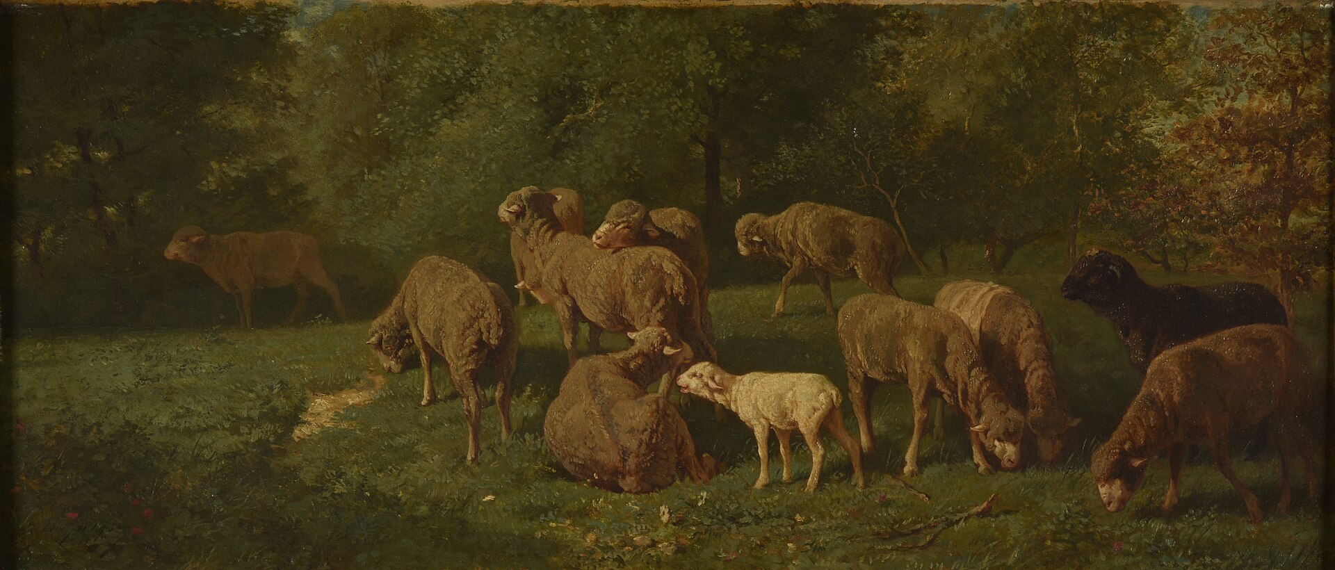Troupeau de moutons - Charles Jacque