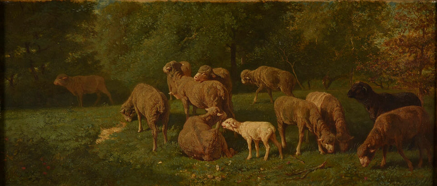 Troupeau de moutons - Charles Jacque