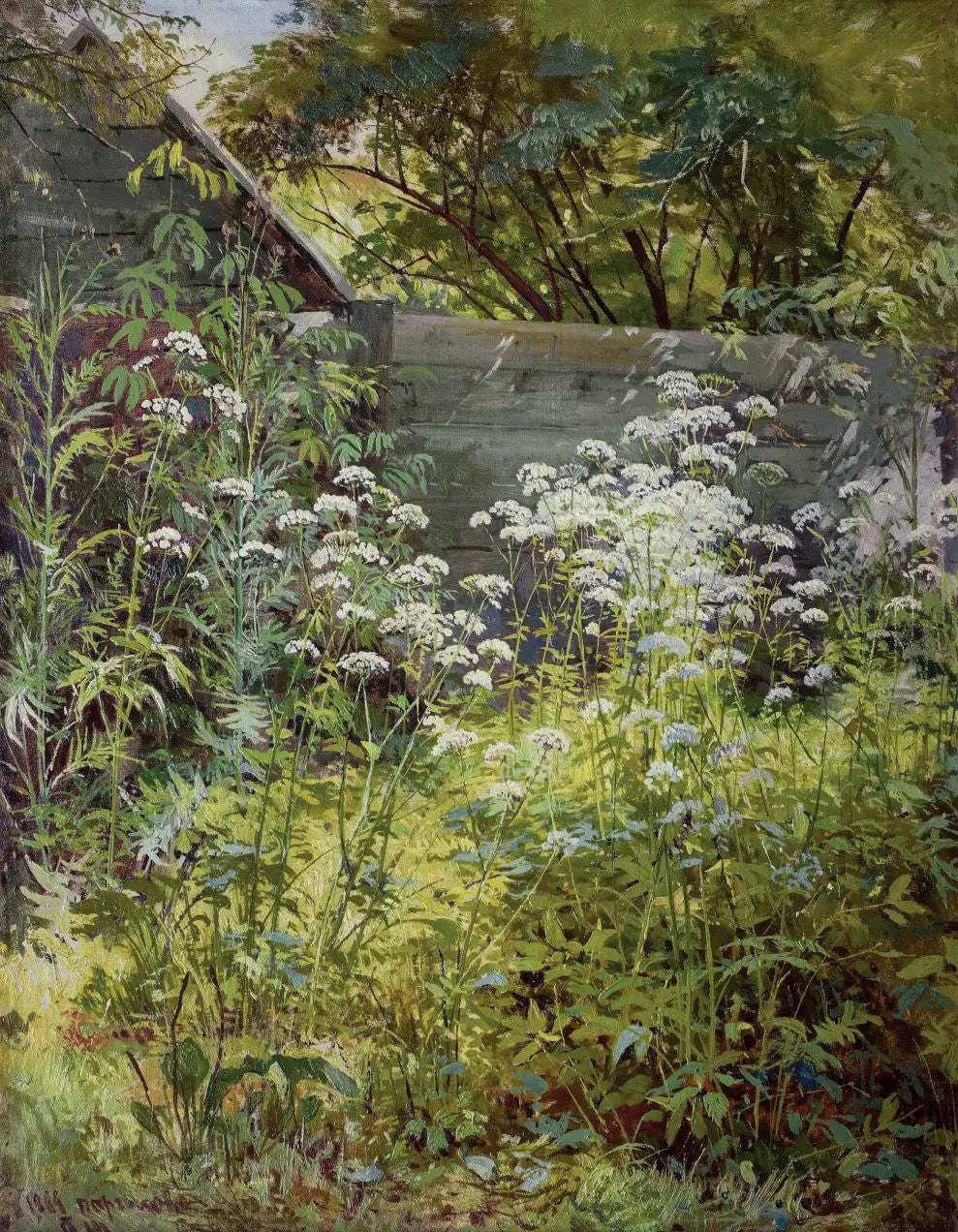 Jardin d'angle envahi par la végétation. Aegopodium - Ivan Chichkine image 1 copie de tableau peinte à la main