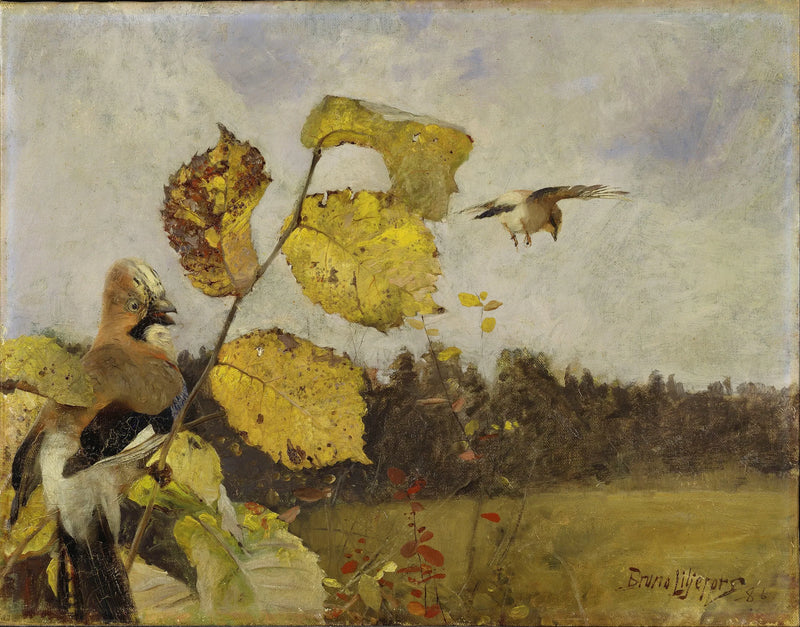 Jays - Bruno Liljefors