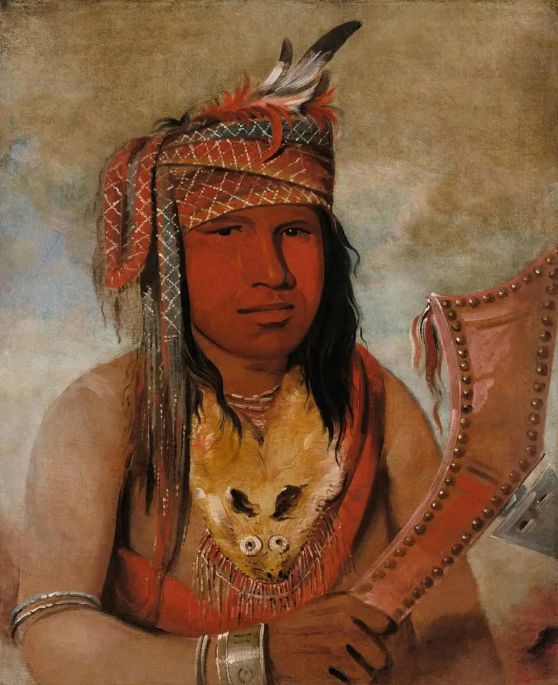 Je-suis-quelque-chose-dick, Caribou mâle, un brave - George Catlin