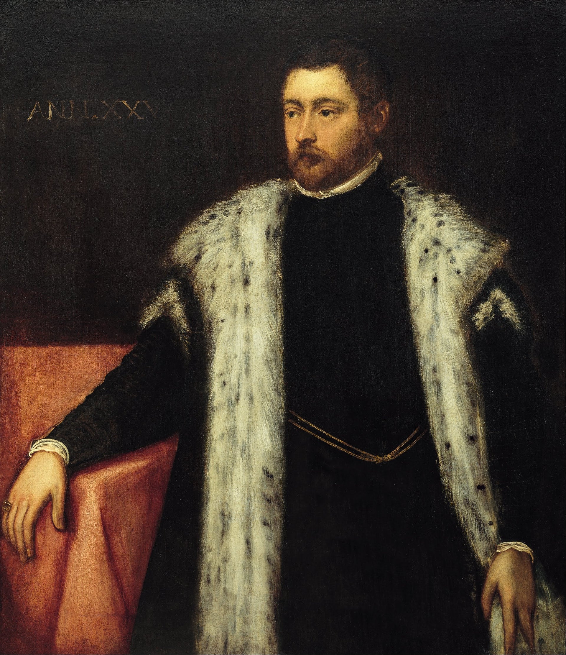Jeune homme de vingt-cinq ans avec un manteau doublé de fourrure - Jacopo Tintoretto image 1 reproduction d’œuvre d’art à l’huile