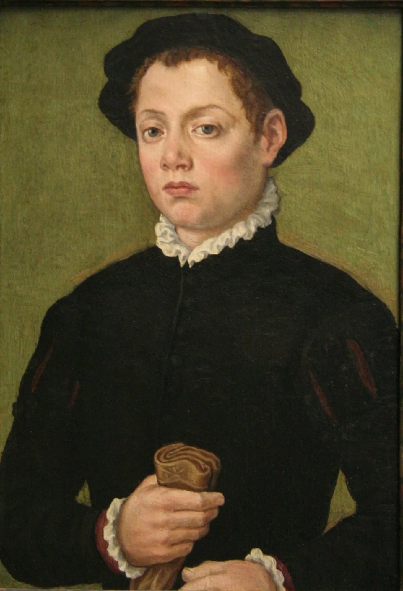 Jeune homme - Sofonisba Anguissola image 1 reproduction de peinture à l’huile