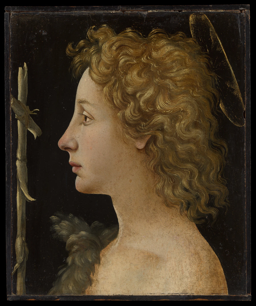 Le jeune saint Jean-Baptiste - Piero di Cosimo (Piero di Lorenzo di Piero d'Antonio)