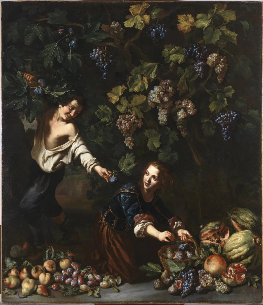 Jeunes cueillant des fruits - Michelangelo Cerquozzi