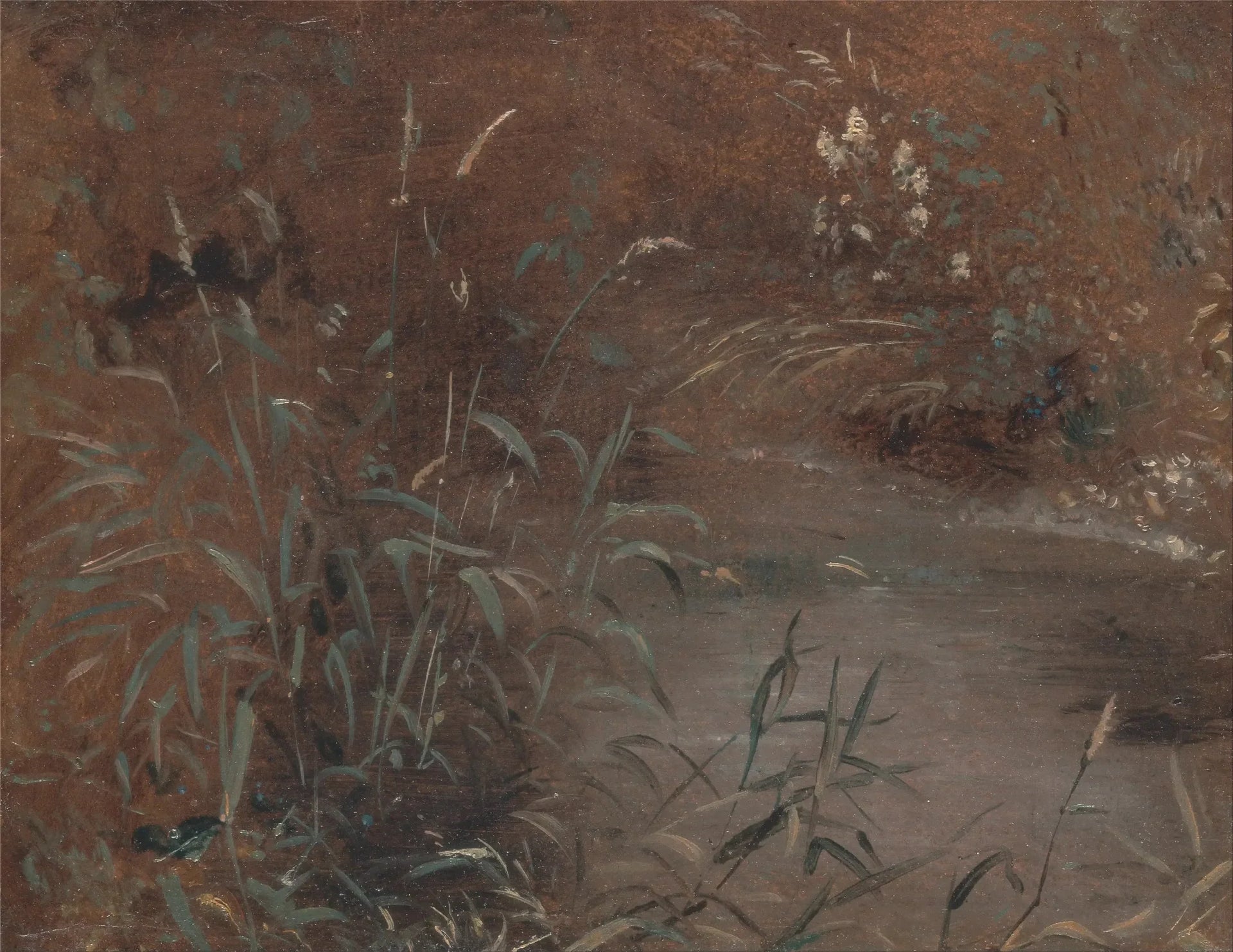 Joncs au bord d'une piscine - John Constable image 1 reproduction de peinture à l’huile