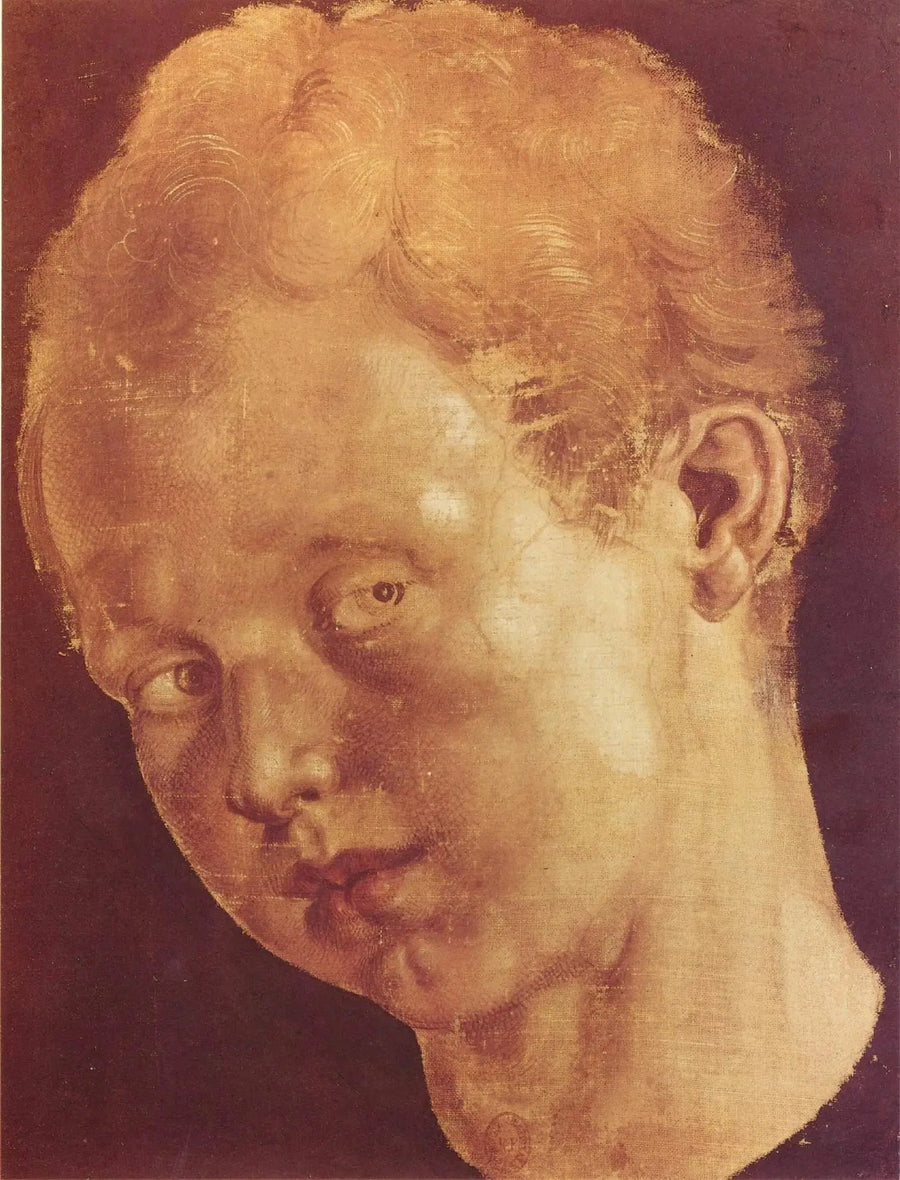 Knabenkopf nach links geneigt - Albrecht Dürer