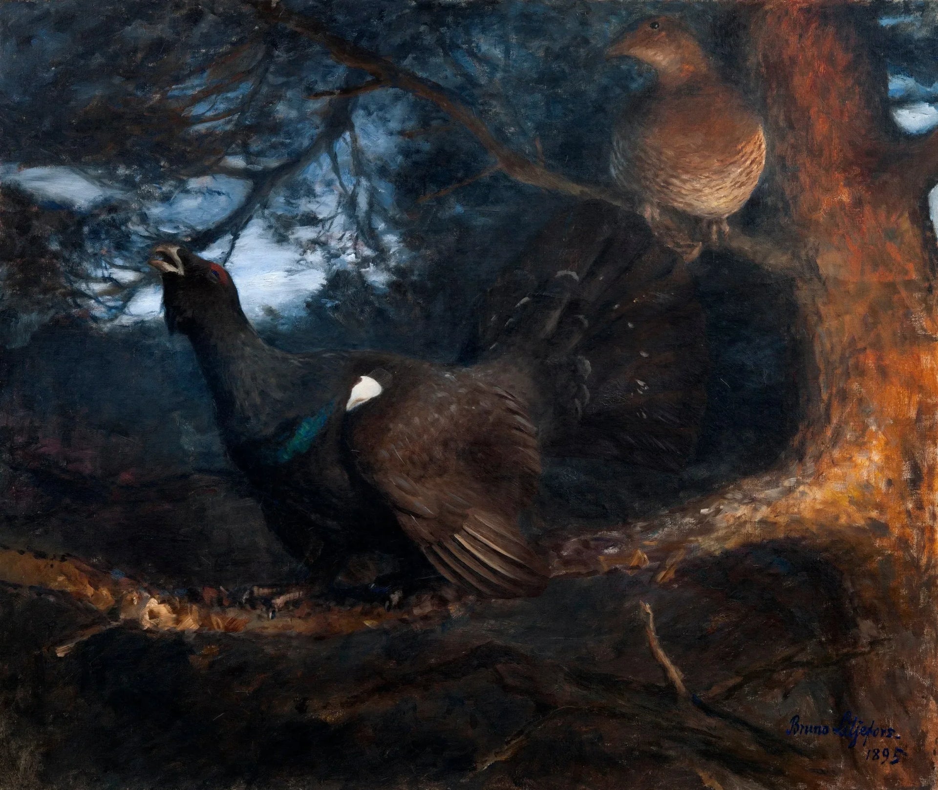 L'accouplement des grands tétras - Bruno Liljefors image 1 tableau peint à l’huile sur toile