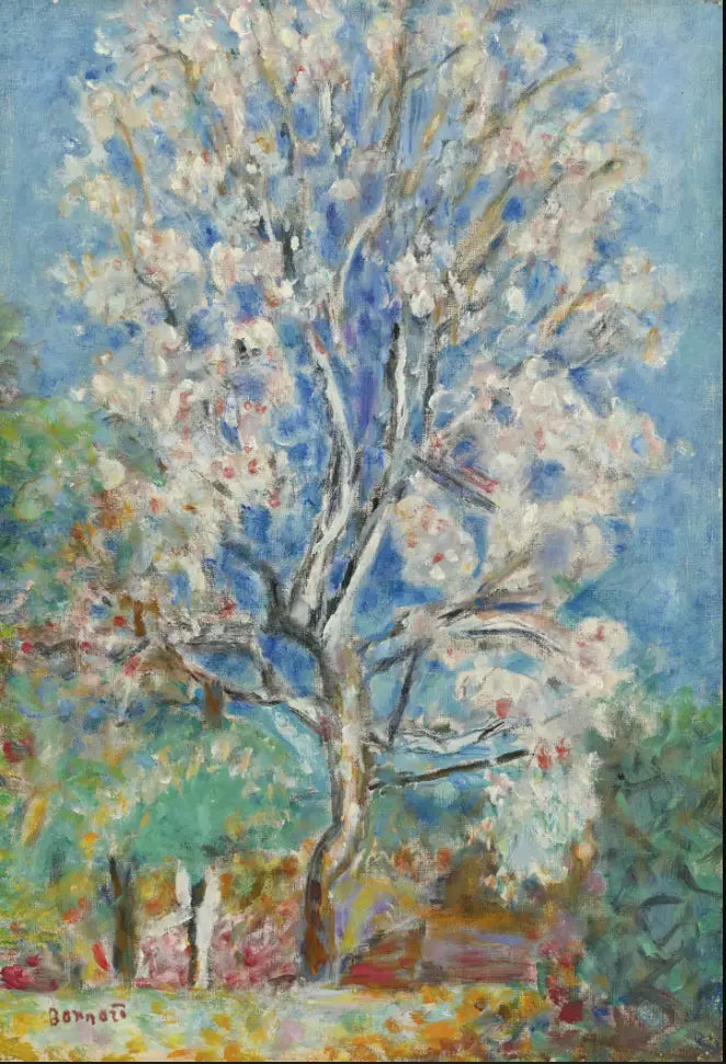 L'Amandier en fleurs - Pierre Bonnard