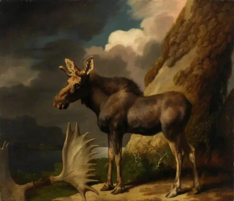 L'élan - George Stubbs image 1 reproduction artisanale de tableau