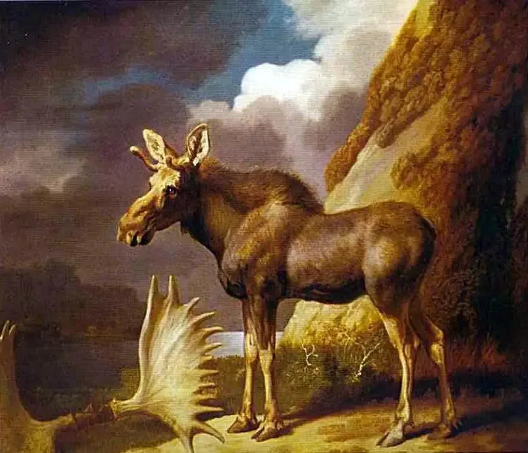 L'élan - George Stubbs image 1 tableau peint à l’huile sur toile