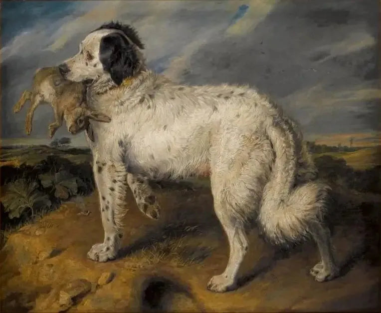 La Championne : Vénus - Edwin Henry Landseer image 1 tableau peint à l’huile sur toile