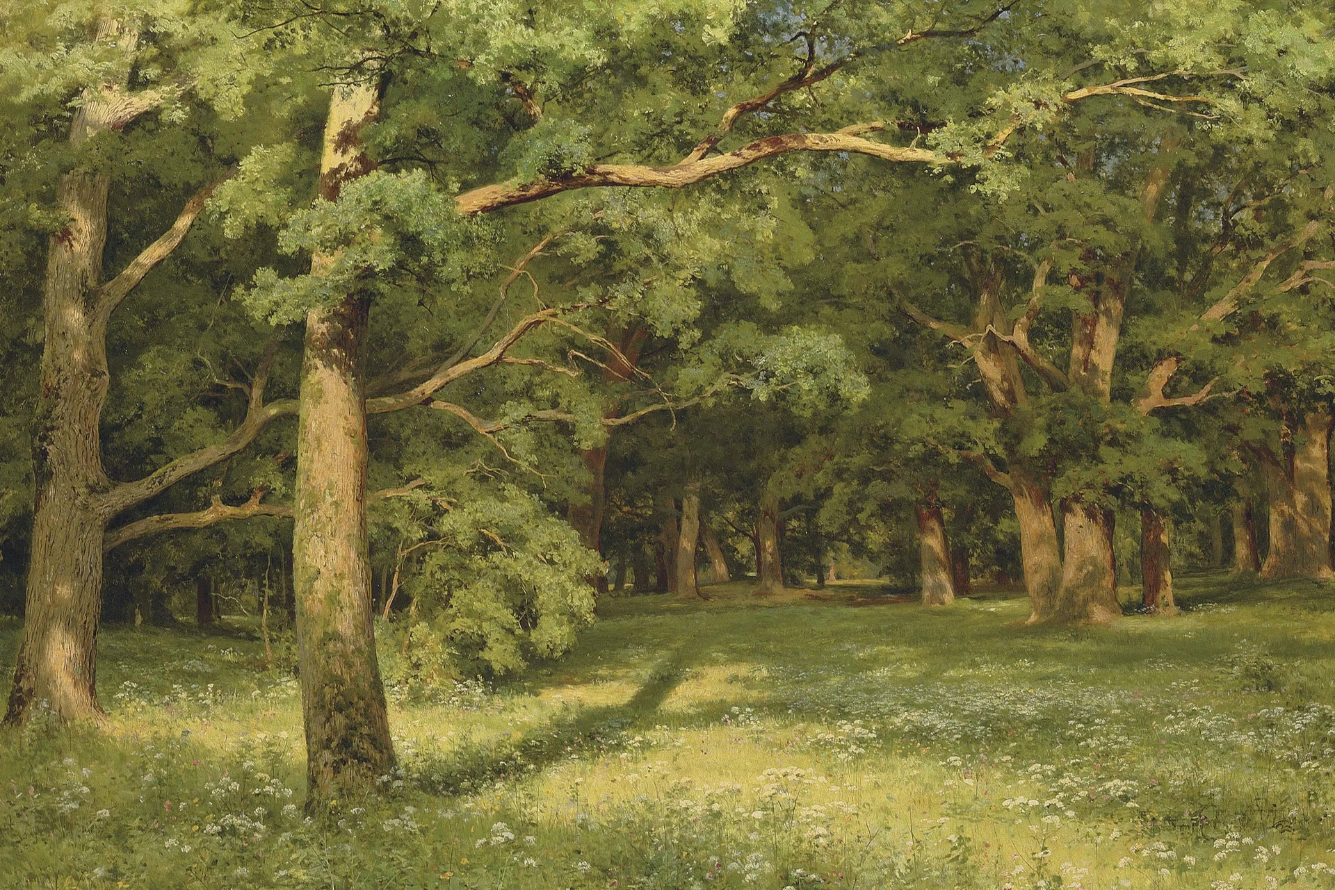 La clairière de la forêt - Ivan Chichkine image 1 reproduction de peinture à l’huile