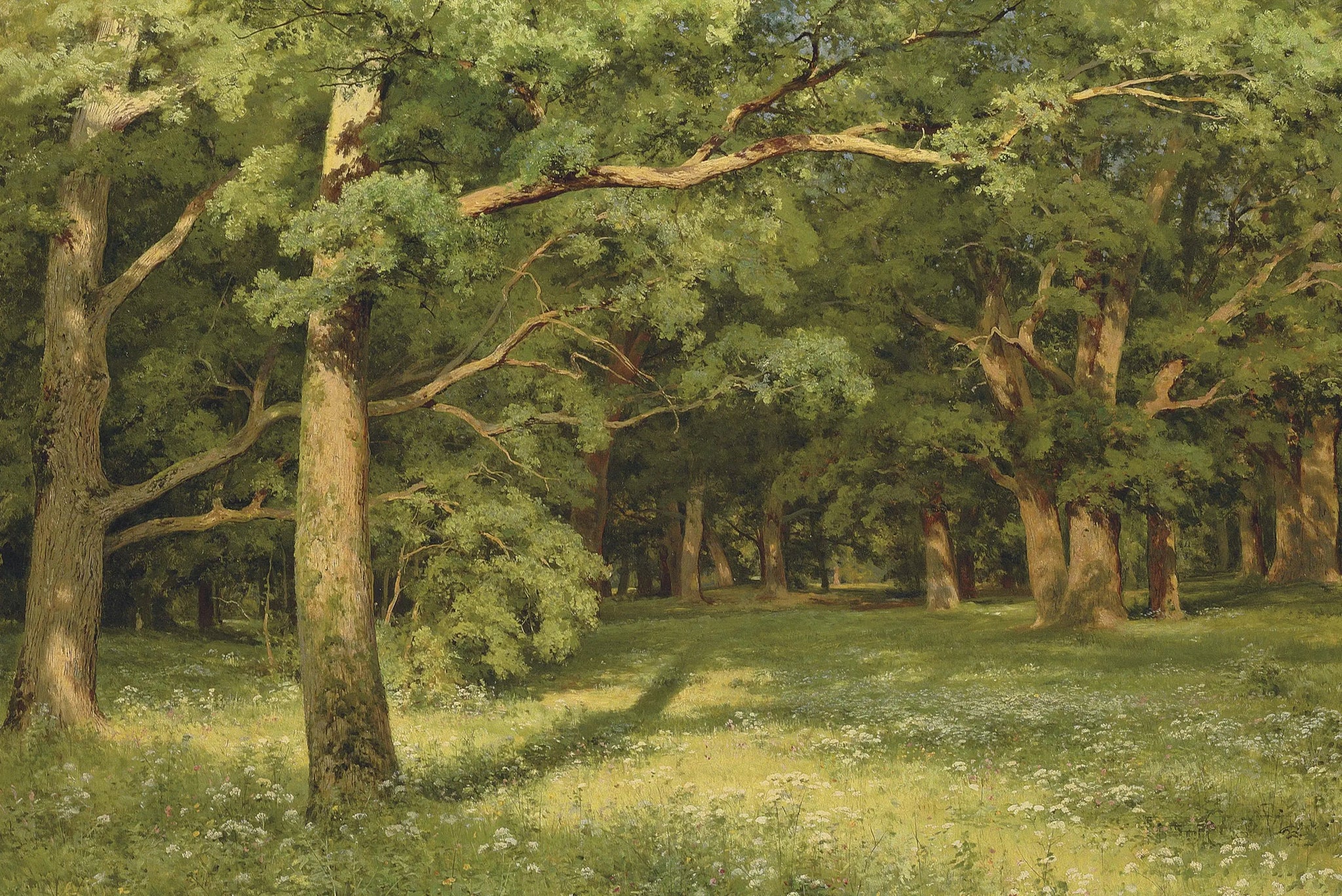 La clairière de la forêt - Ivan Chichkine image 1 reproduction de peinture à l’huile