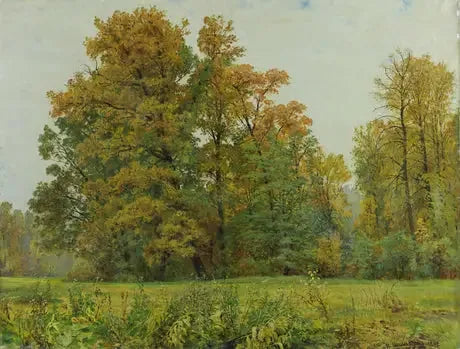 La lisière de la forêt - Ivan Chichkine image 1 reproduction de peinture à l’huile
