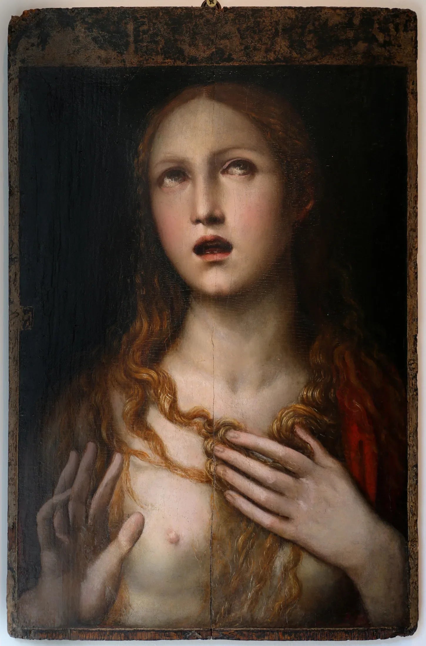 la maddalena - Il Sodoma (Giovanni Antonio Bazzi) image 1 reproduction d’œuvre d’art à l’huile