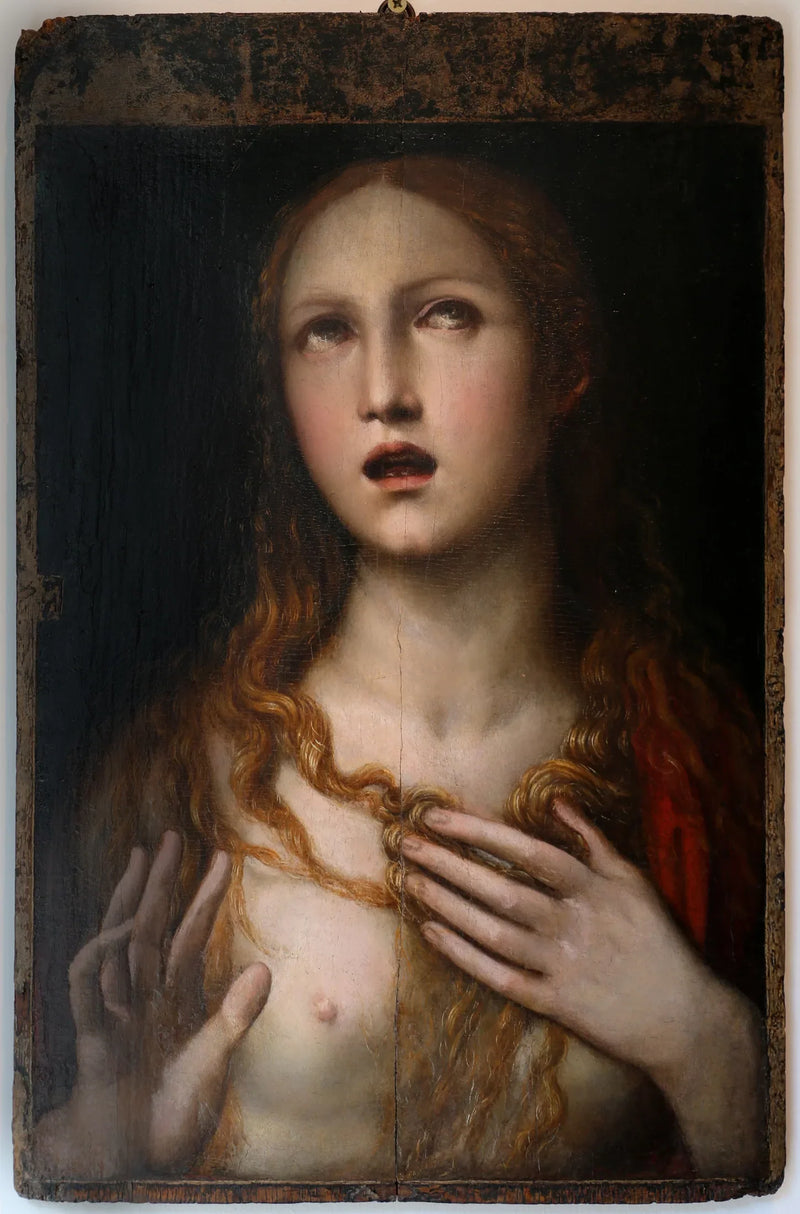la maddalena - Il Sodoma (Giovanni Antonio Bazzi)