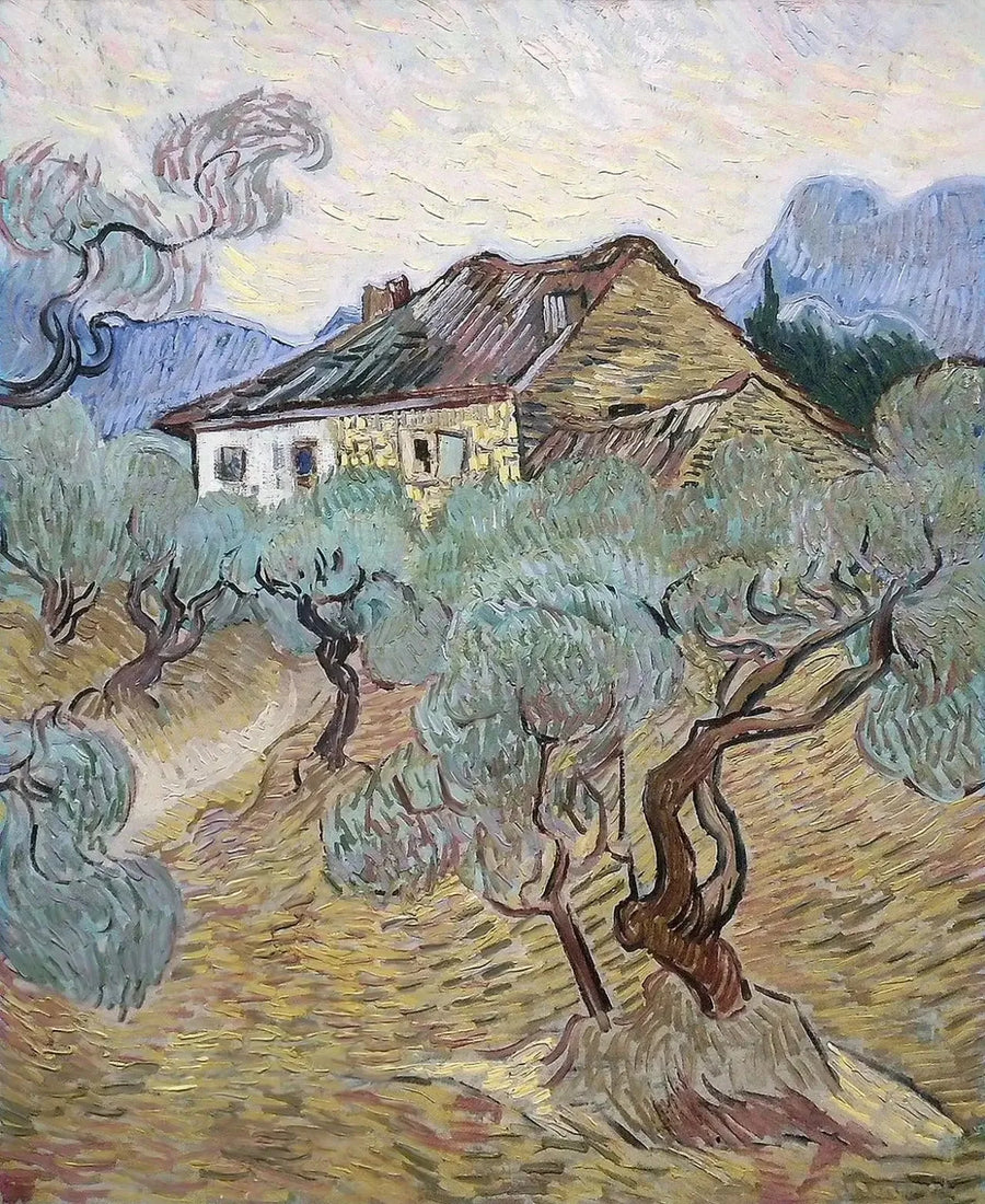La maison blanche parmi les oliviers - Vincent van Gogh