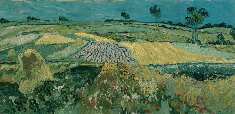 La plaine d'Auvers - Vincent van Gogh