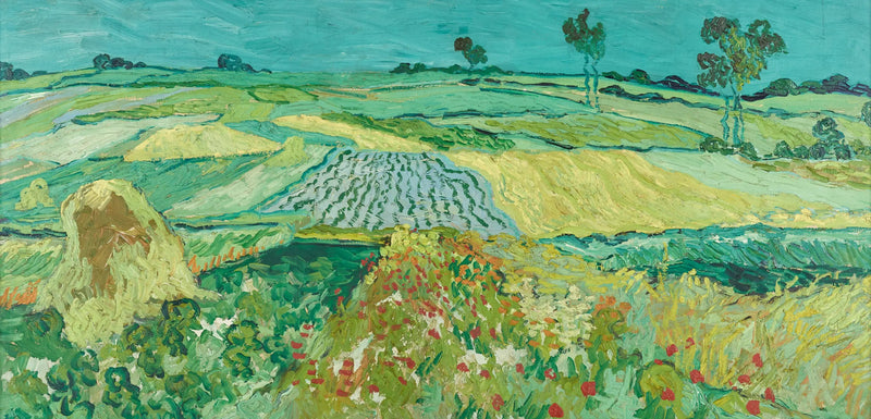 La plaine d'Auvers - Vincent van Gogh
