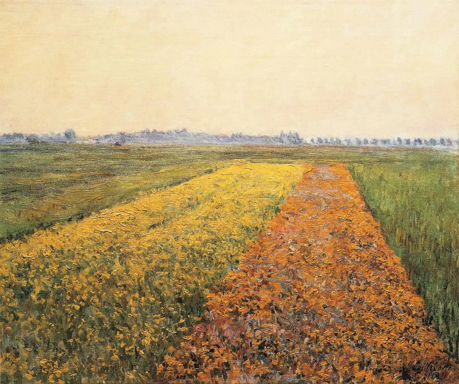 La plaine de Gennevilliers, Champs jaune - Gustave Caillebotte