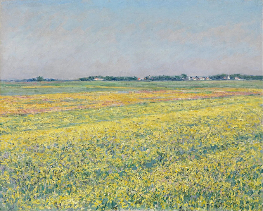 La plaine de Gennevilliers, champs jaunes - Gustave Caillebotte