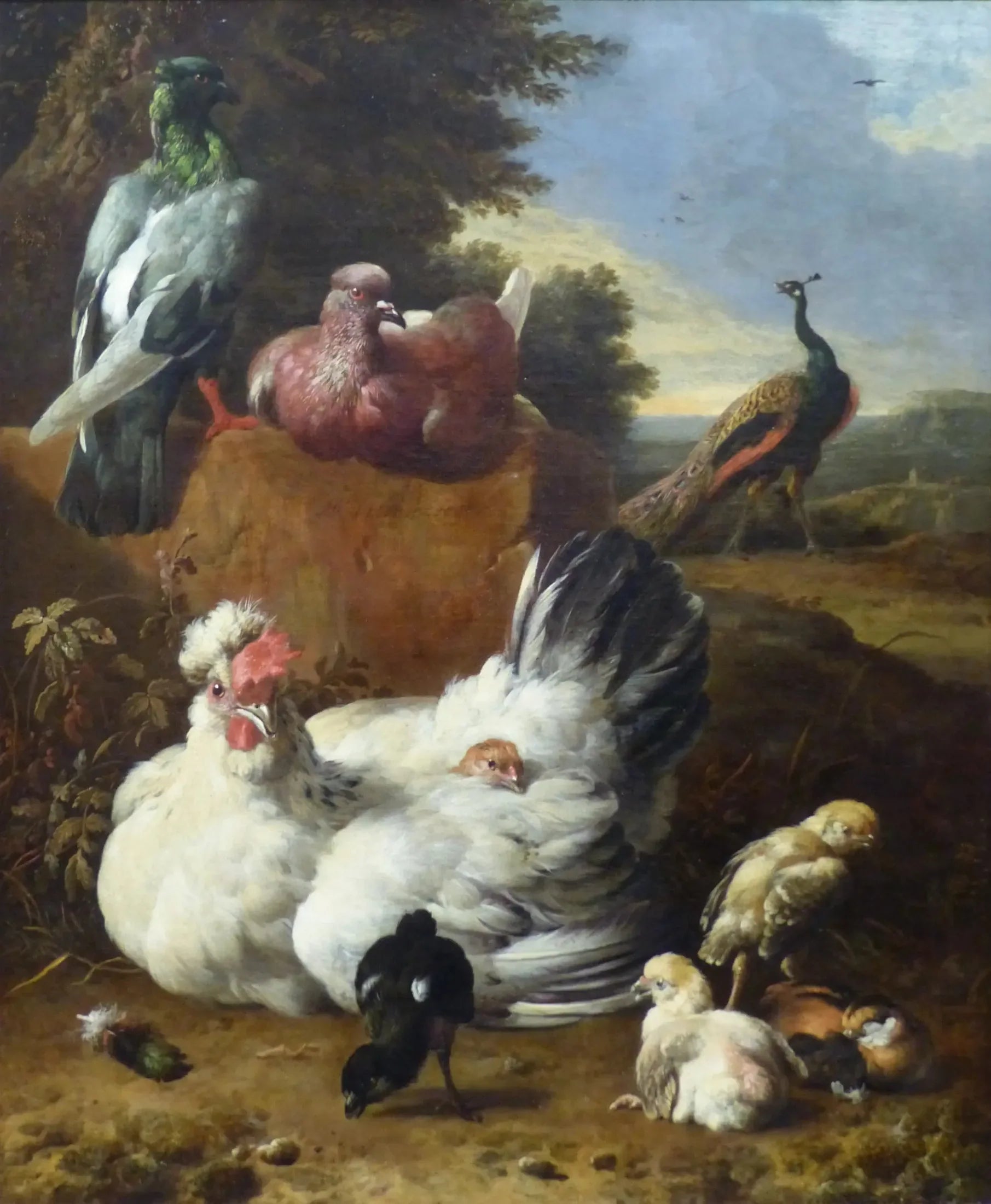 La poule blanche - Melchior de Hondecoeter image 1 tableau peint à l’huile sur toile