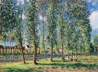 La rangée de peupliers à Moret - Alfred Sisley image 1 reproduction d’œuvre d’art à l’huile