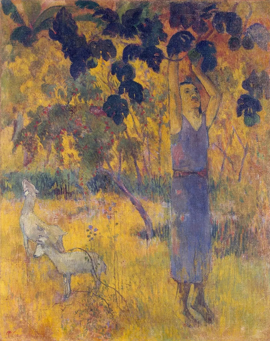 La récolte, ou Homme cueillant des fruits - Paul Gauguin
