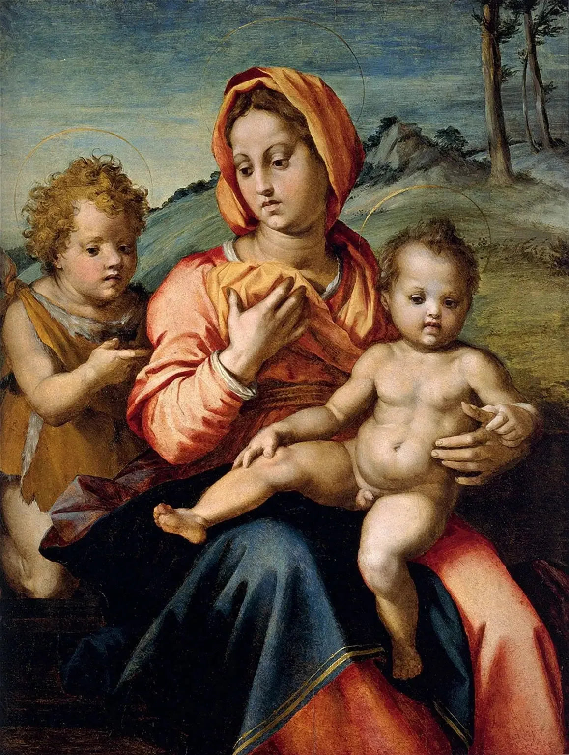 La Vierge à l'Enfant avec saint Jean-Baptiste enfant - Andrea del Sarto image 1 reproduction réalisée par Alpha Reproduction