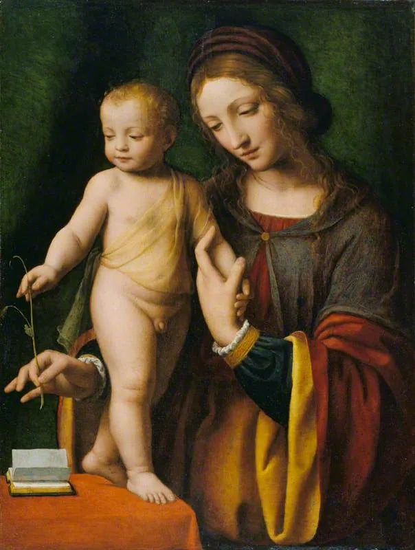 La Vierge à l'Enfant avec une ancolie - Bernardino Luini image 1 reproduction de peinture à l’huile