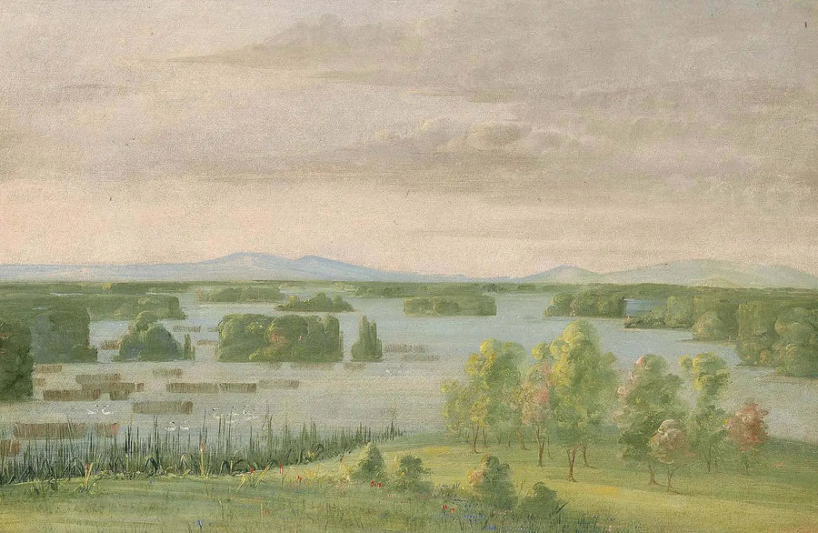 Lac du Cygne (Lac des Cygnes), Près du Coteau des Prairies - George Catlin