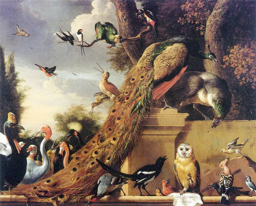 Langh a quitté Den Koningh, ou le concert des oiseaux - Melchior de Hondecoeter
