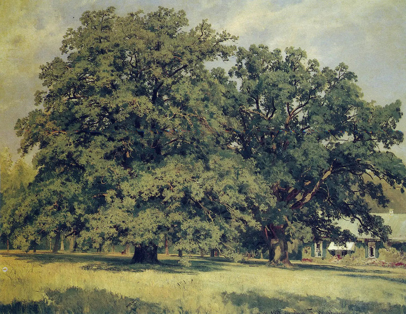 Le chêne de Mordvinovo - Ivan Chichkine