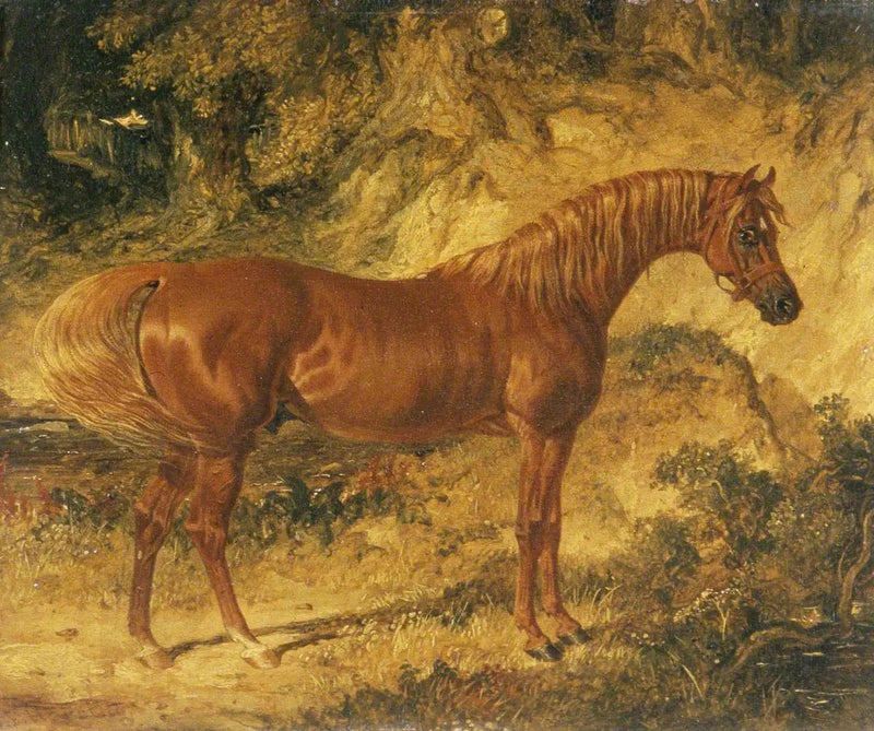 Le cheval de course « Actéon » - John Frederick Herring, Sr.