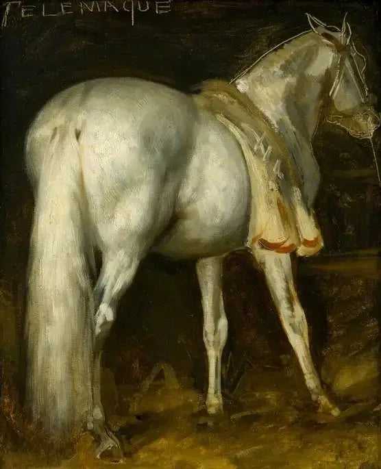 Le cheval gris « Télémaque » - Théodore Géricault