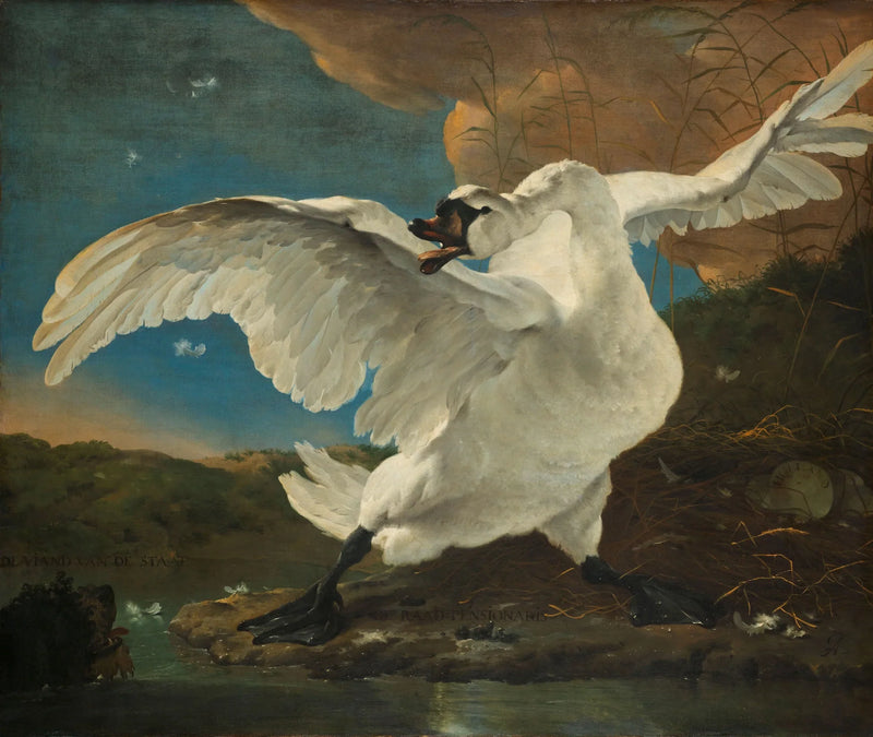 Le Cygne menacé - Jan Asselyn