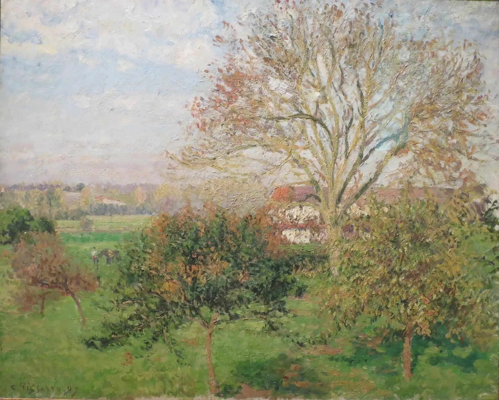Le Grand Noyer, matin d'automne, Éragny ( Matin d'automne à Eragny) - Camille Pissarro image 1 reproduction réalisée par Alpha Reproduction