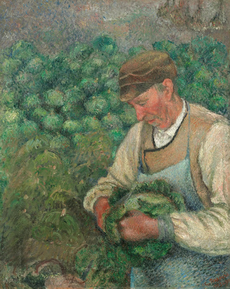 Le Jardinier - Vieux Paysan au Chou - Camille Pissarro
