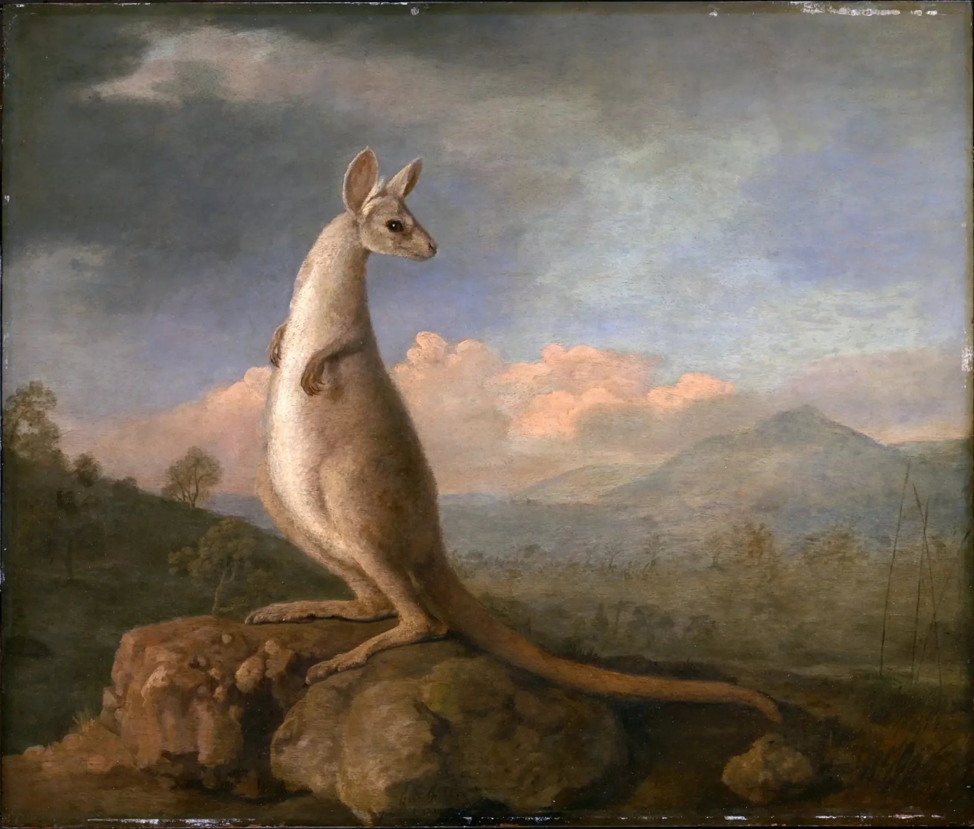 Le Kongouro de New Holland - George Stubbs image 1 copie peinte à la main à l’huile