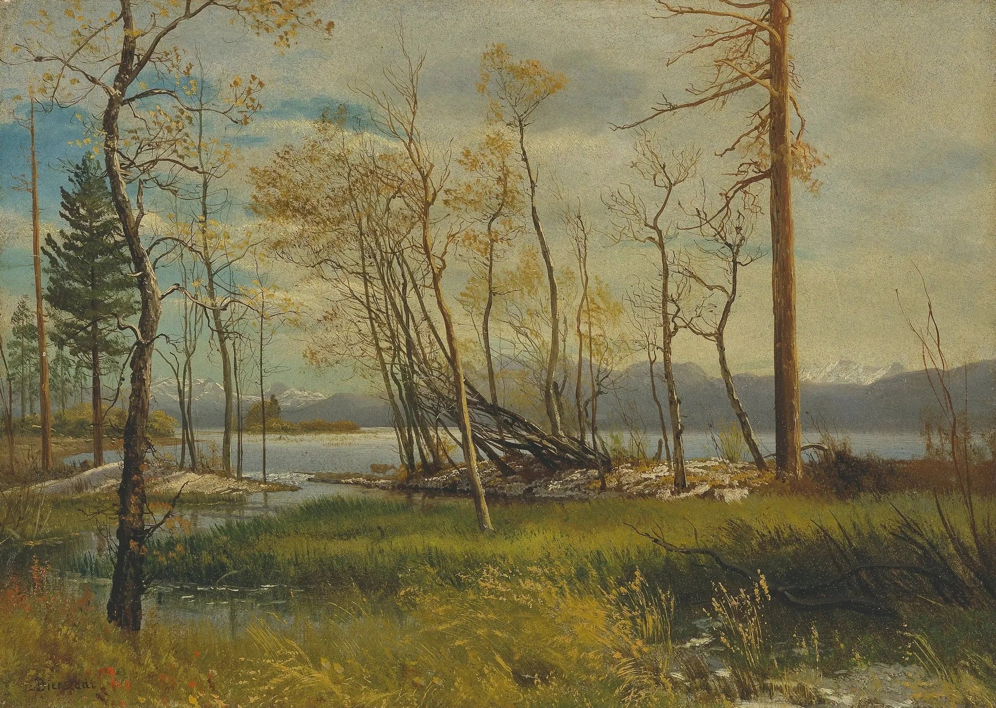 Le lac Tahoe - Albert Bierstadt image 1 copie de tableau peinte à la main